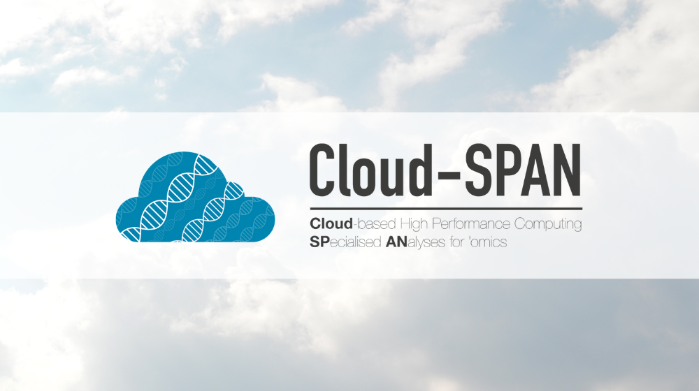 cloud-SPAN logo, a picture of clouds in the background