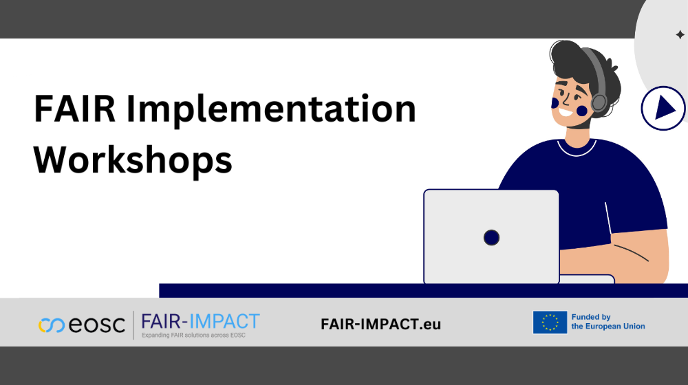 Fair Implementation Workshops, a stylised person with a headset and a laptop