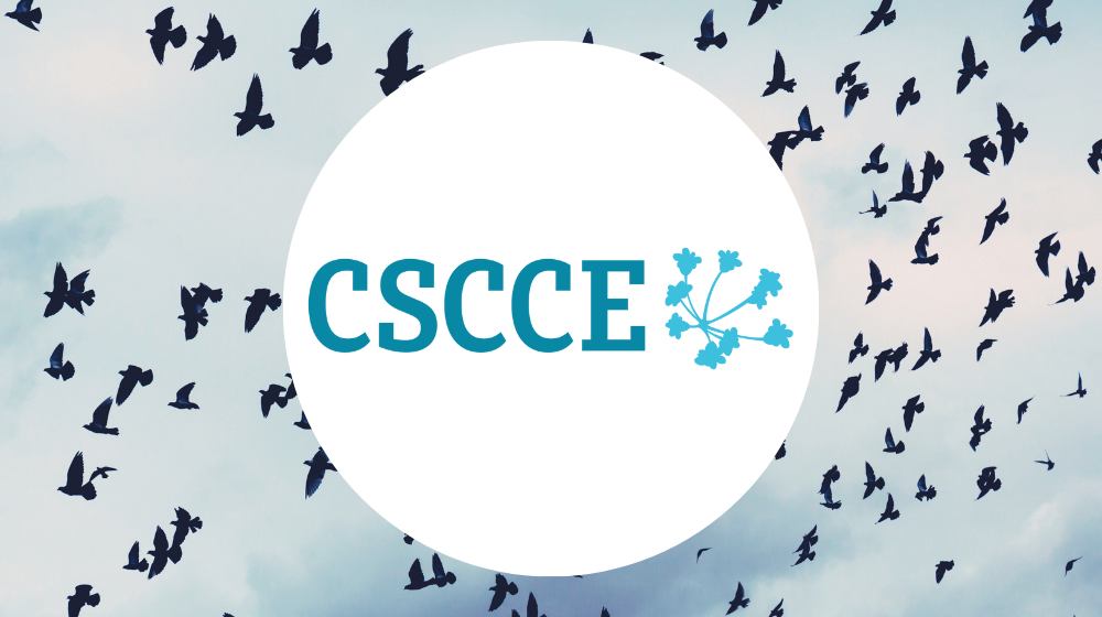 CSCCE logo, a flock of birds in the background