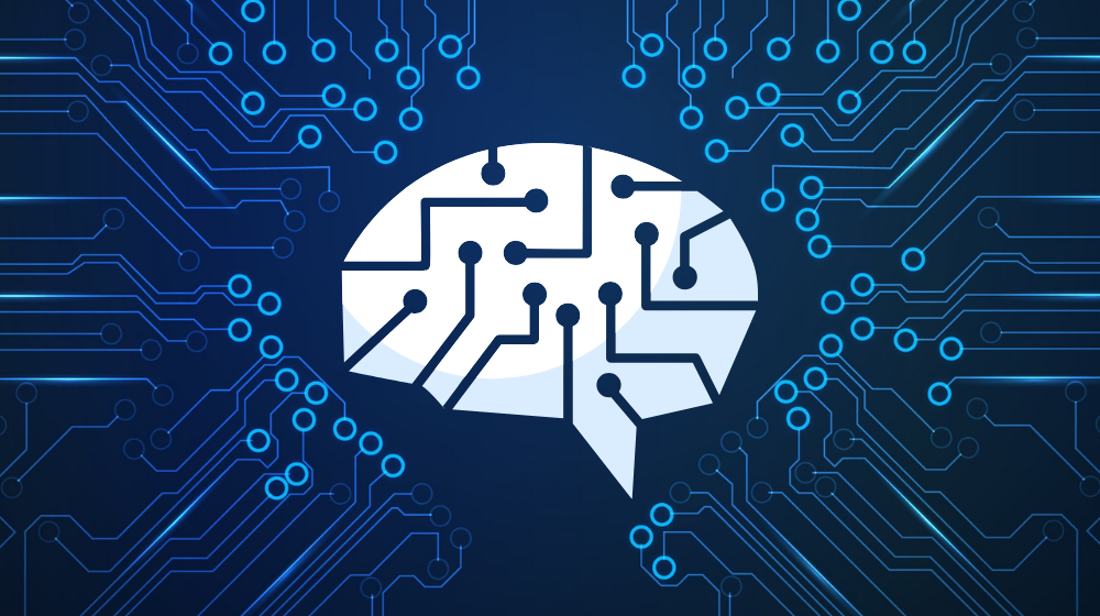 A brain and connections