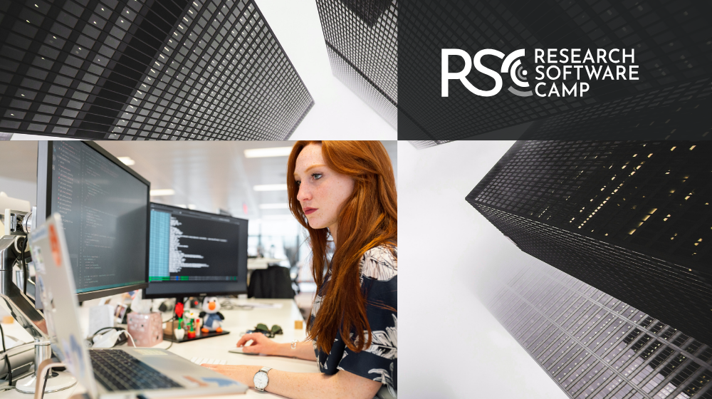 Woman working on the computer