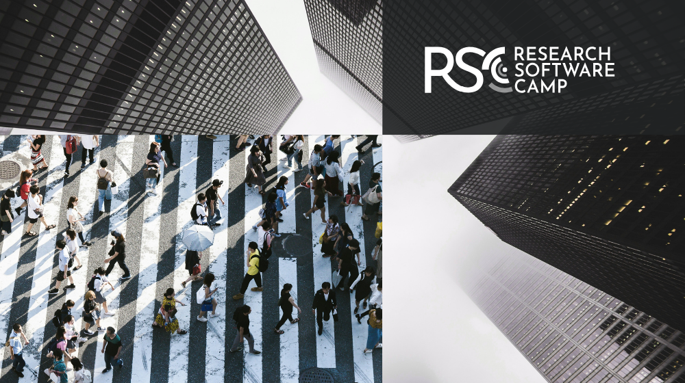 rsc logo, a zebra crossing with people