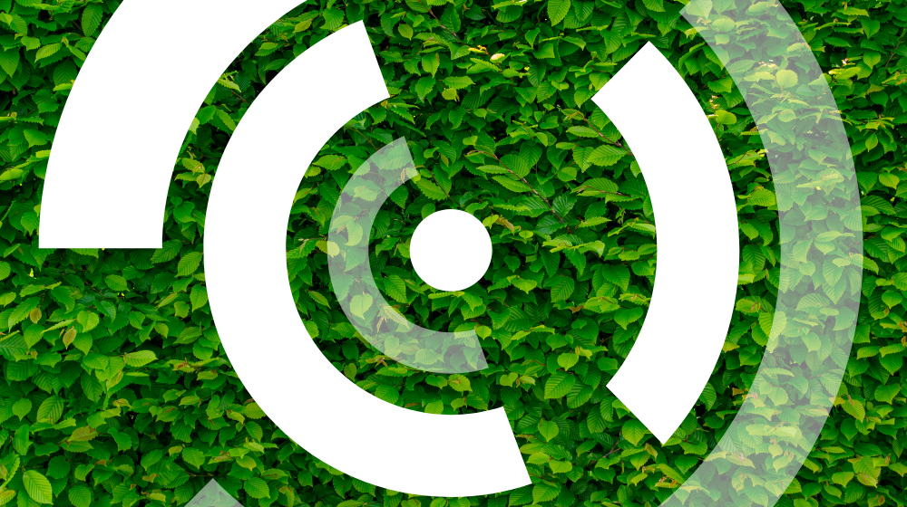 SSI icon against a green background