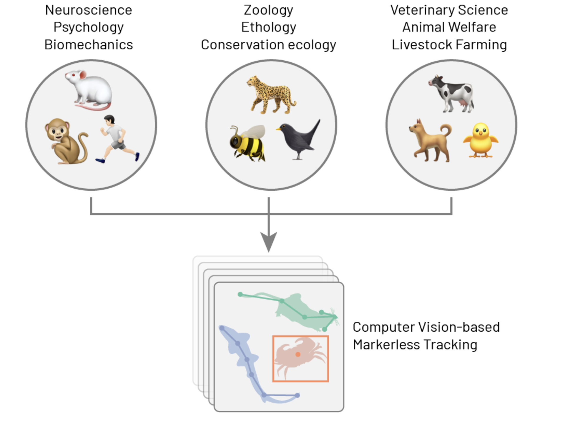 Scientific fields converging on computer-vision-based methods for quantifying behaviour. Deep-learning approaches extract user-defined body parts directly from video without markers, enabling high-throughput, non-invasive motion tracking across species.