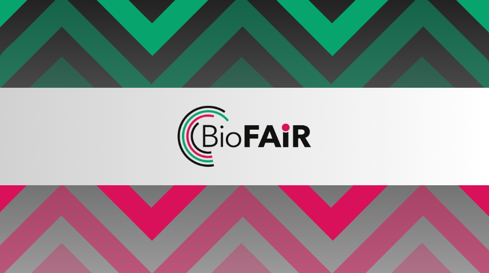 BioFAIR logo