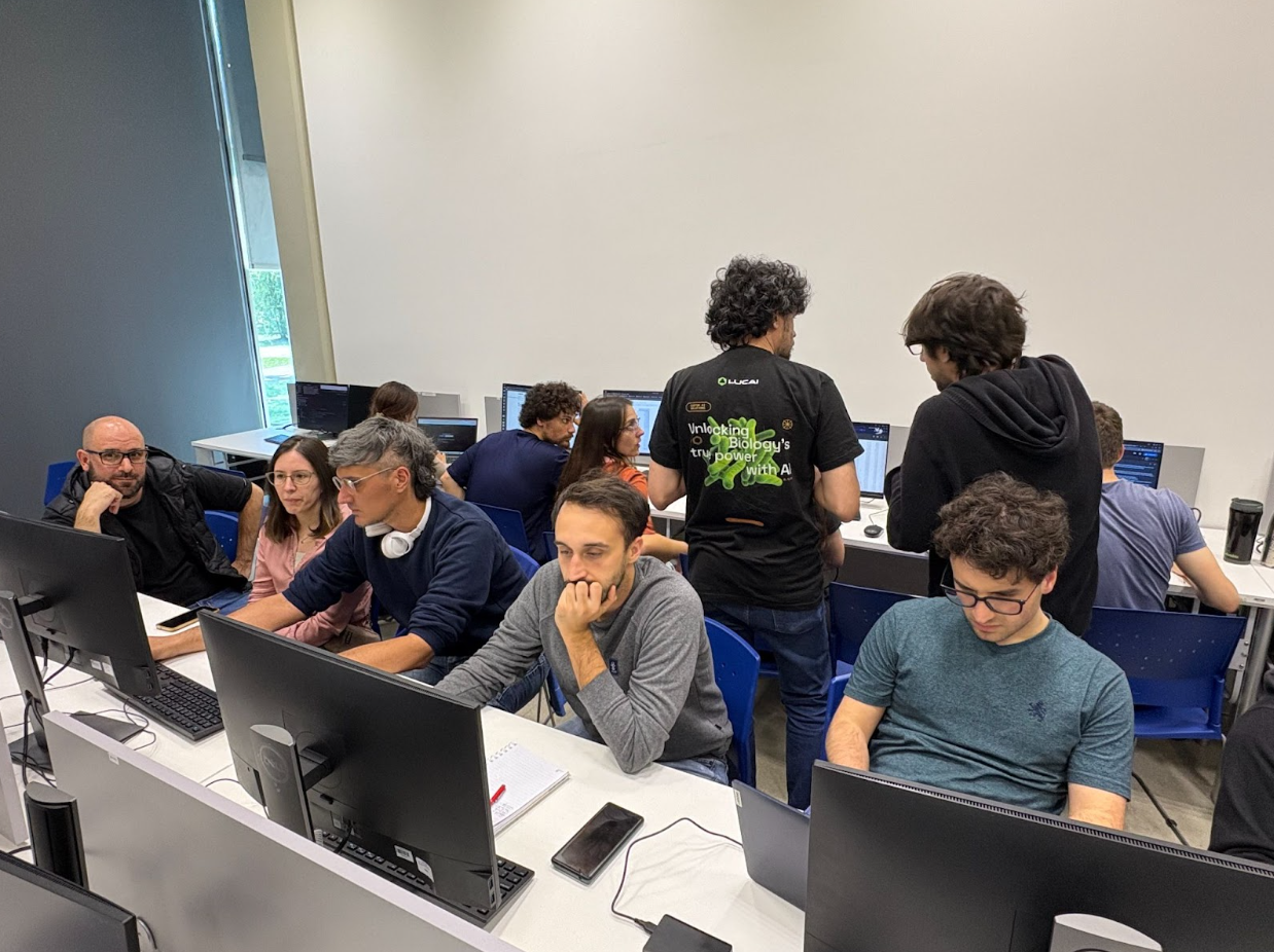 image of a group of people working behind computers