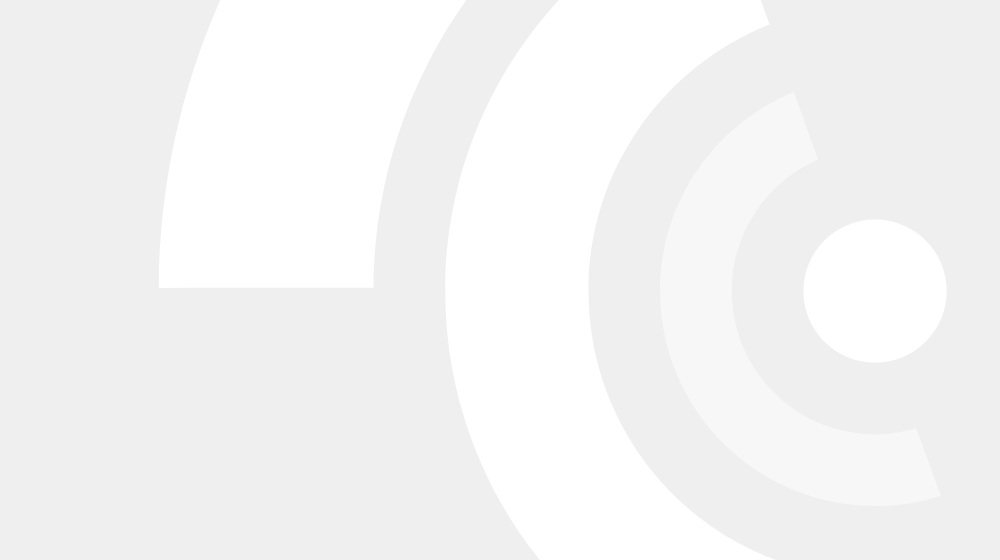 SSI logo