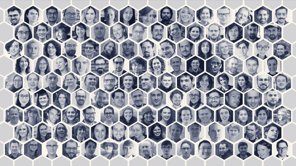 Fellows collage