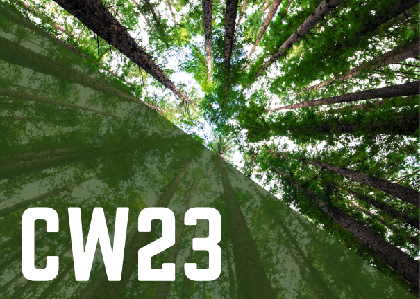 CW23 written in white on a background of trees captured from below
