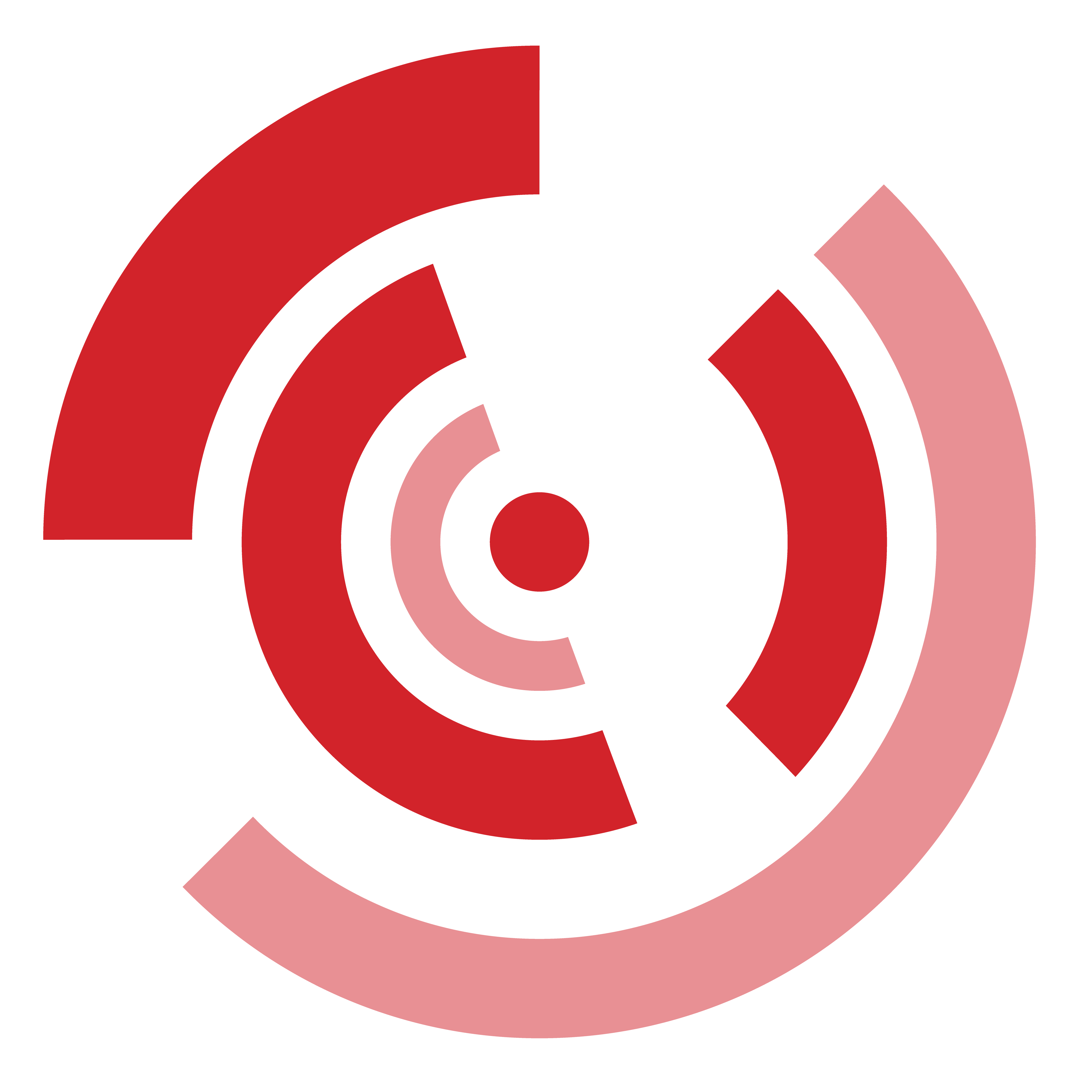 SSI Icon Logo