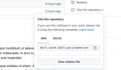 Screenshot of citing a repository