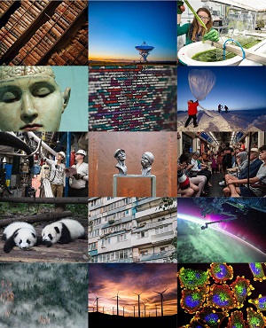 Collage of images of different research