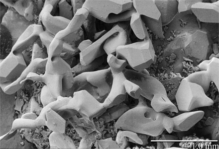 Electron microscope image of snow crystals, provided by the Electron and Confocal Microscopy Laboratory, Agricultural Research Service, US Department of Agriculture.