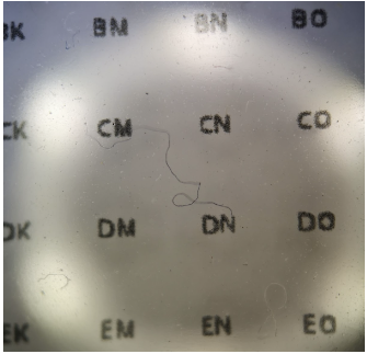 Example image taken by a pilot participant.  The letters help us locate fibres on the sample and are used by the image processing to calculate the magnification.