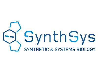 Synthsys