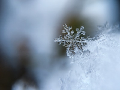 close-up of snowflake