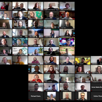Screenshot of CW20 participants in video call