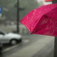 Pink umbrella in the rain
