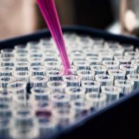 Image of purple pipette and 