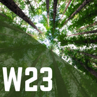 CW23 written in white on a background of trees captured from below