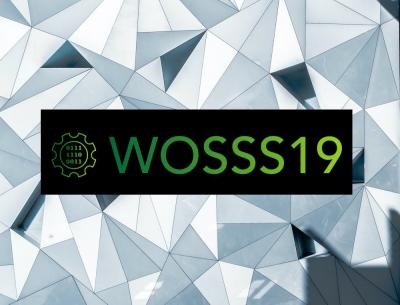 WOSSS19 logo